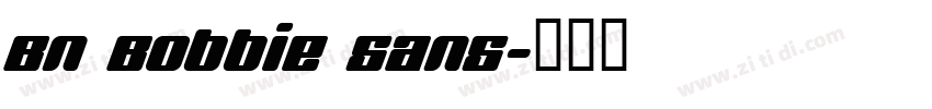 BN Bobbie Sans字体转换